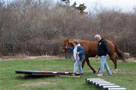 LR-WRF 0402026 Retreat-3517